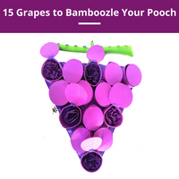 Forbidden Grapes ™ Snuffle Mat