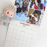 2025 OMD Fundraising Calendar