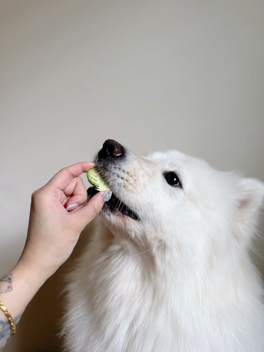 Freeze-dried Brussel sprouts