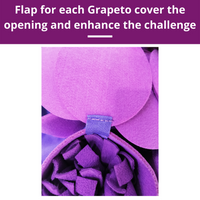 Forbidden Grapes ™ Snuffle Mat