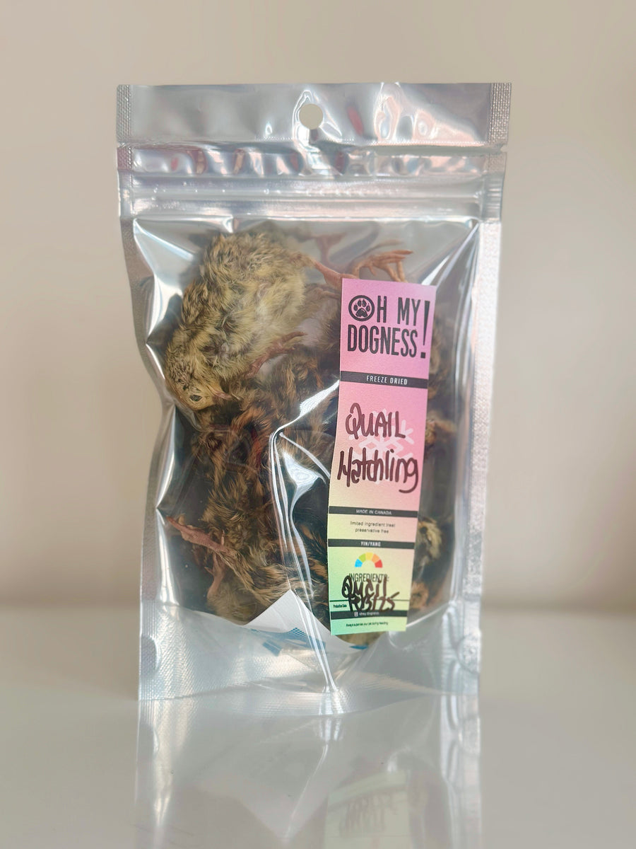 (NEW) Freeze Dried Quail Hatchlings