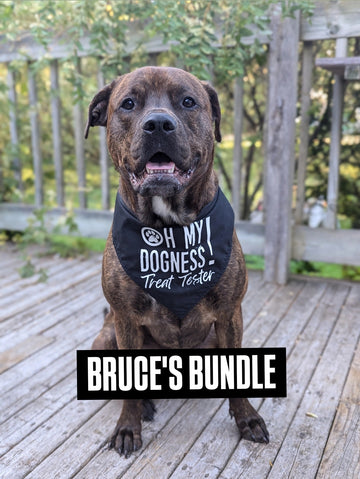 BRUCE'S BUNDLE