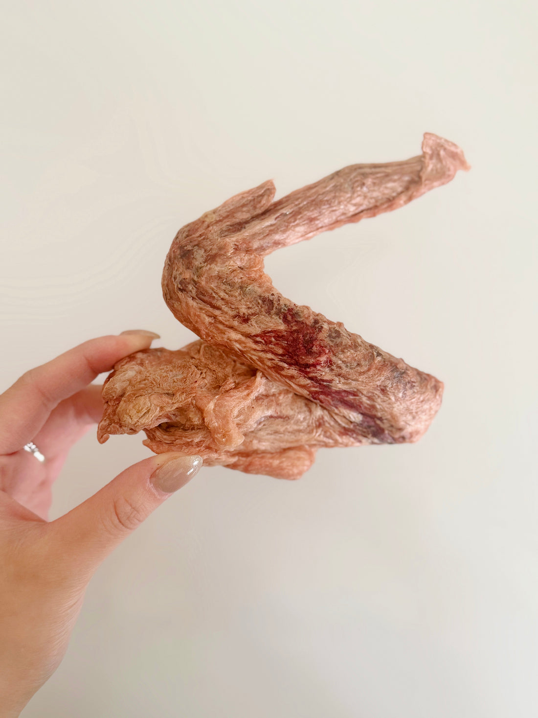 (NEW) Freeze Dried Duck Wings