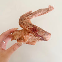 (NEW) Freeze Dried Duck Wings