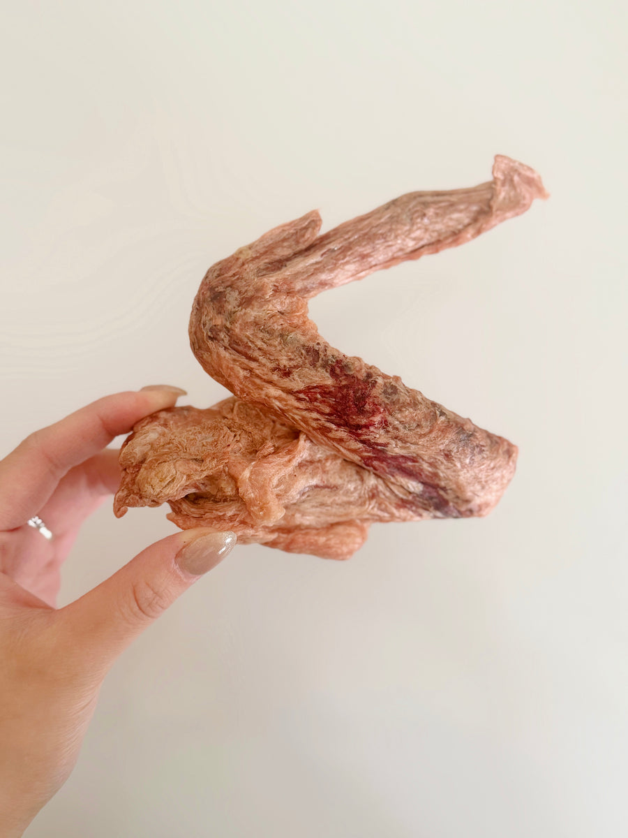 (NEW) Freeze Dried Duck Wings