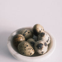 Freeze Dried Whole Quail Egg (with shell)