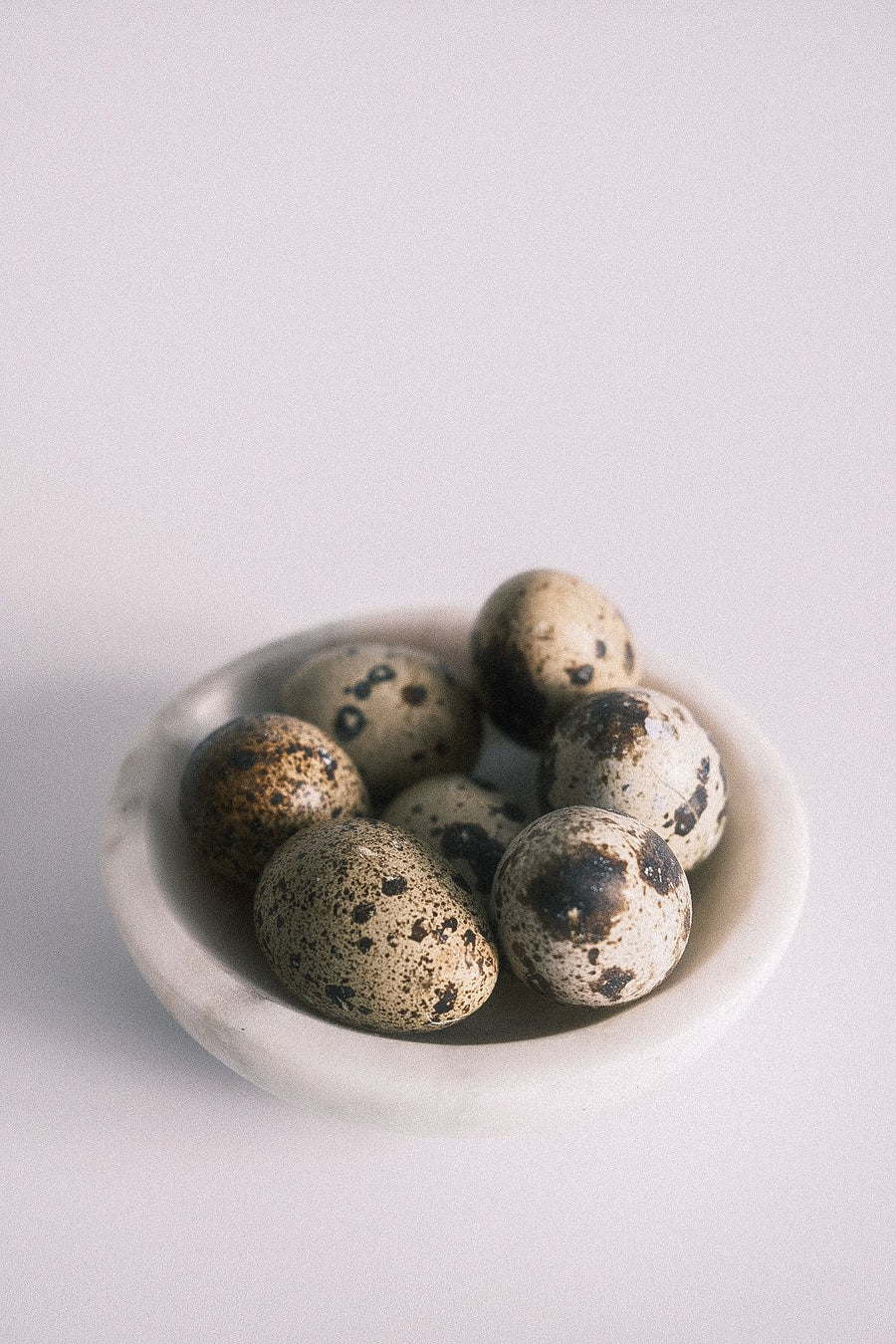 Freeze Dried Whole Quail Egg (with shell)