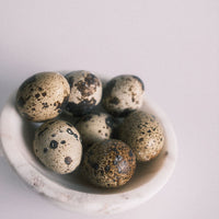 Freeze Dried Whole Quail Egg (with shell)