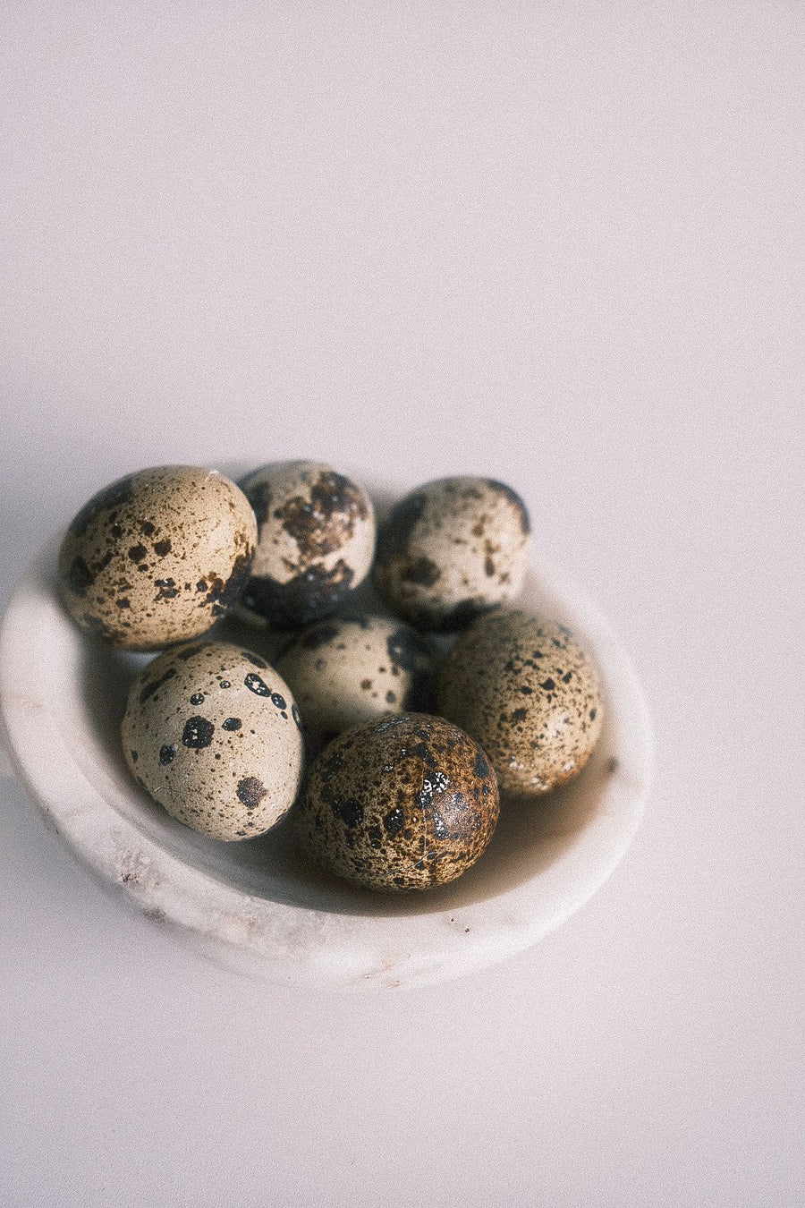 Freeze Dried Whole Quail Egg (with shell)