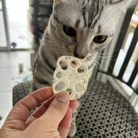 Freeze Dried Lotus Root