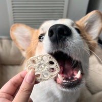 Freeze Dried Lotus Root