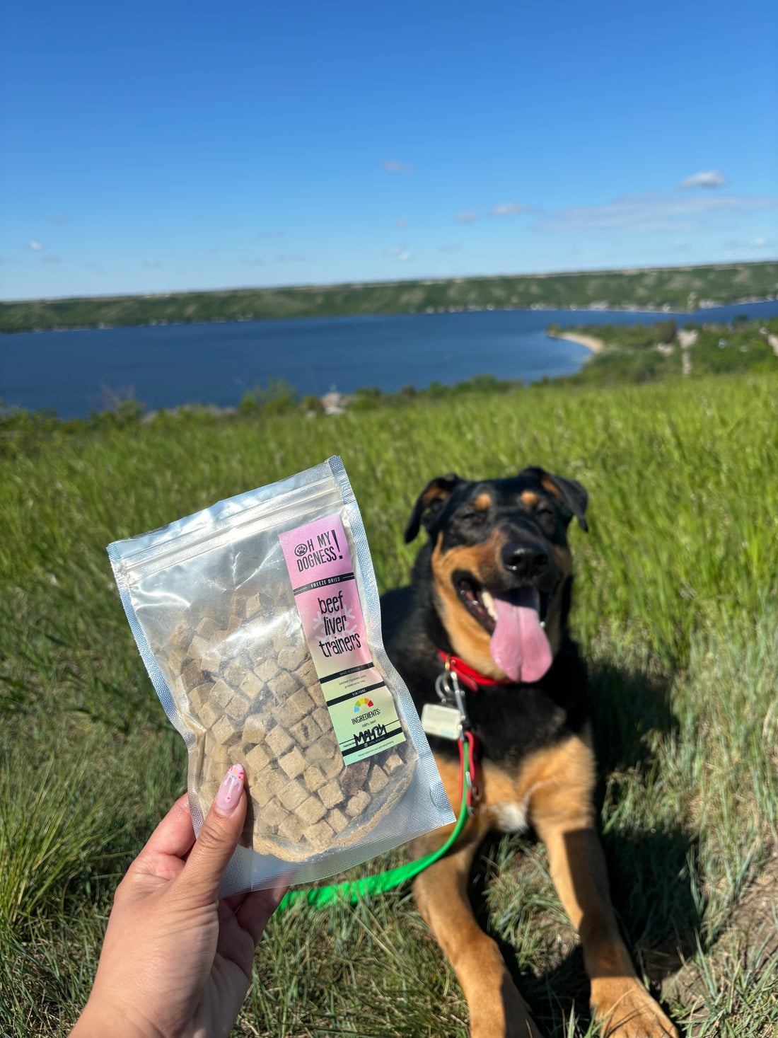 Freeze Dried Beef Liver Trainers