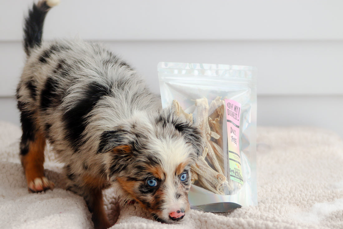 (NEW) Freeze Dried Duck Feet