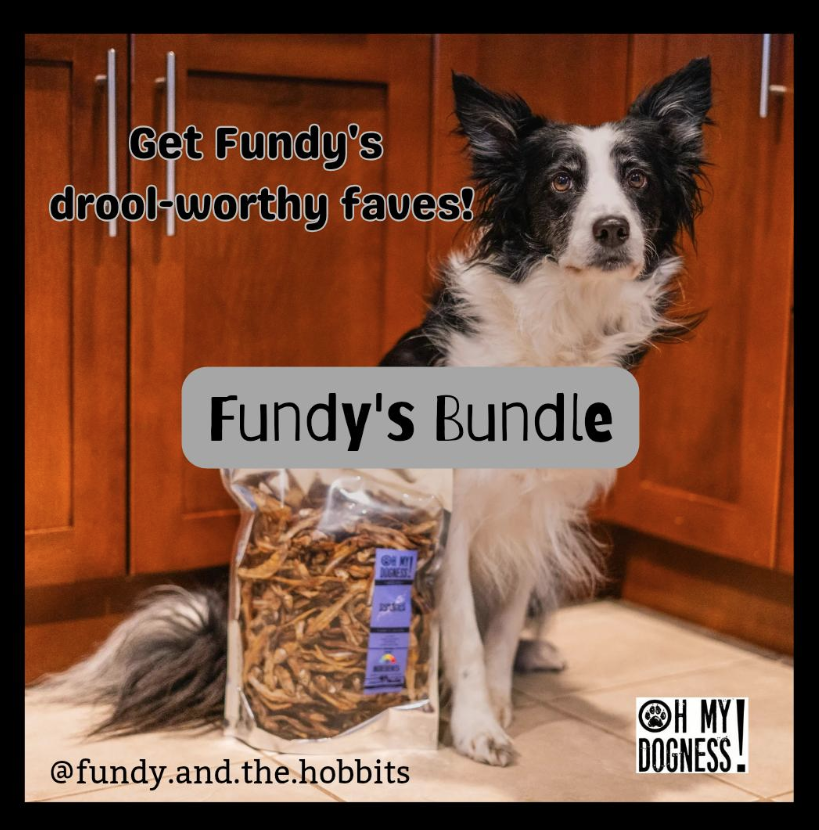 FUNDY'S BUNDLE