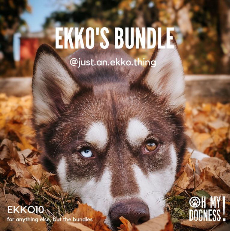 EKKO'S BUNDLE