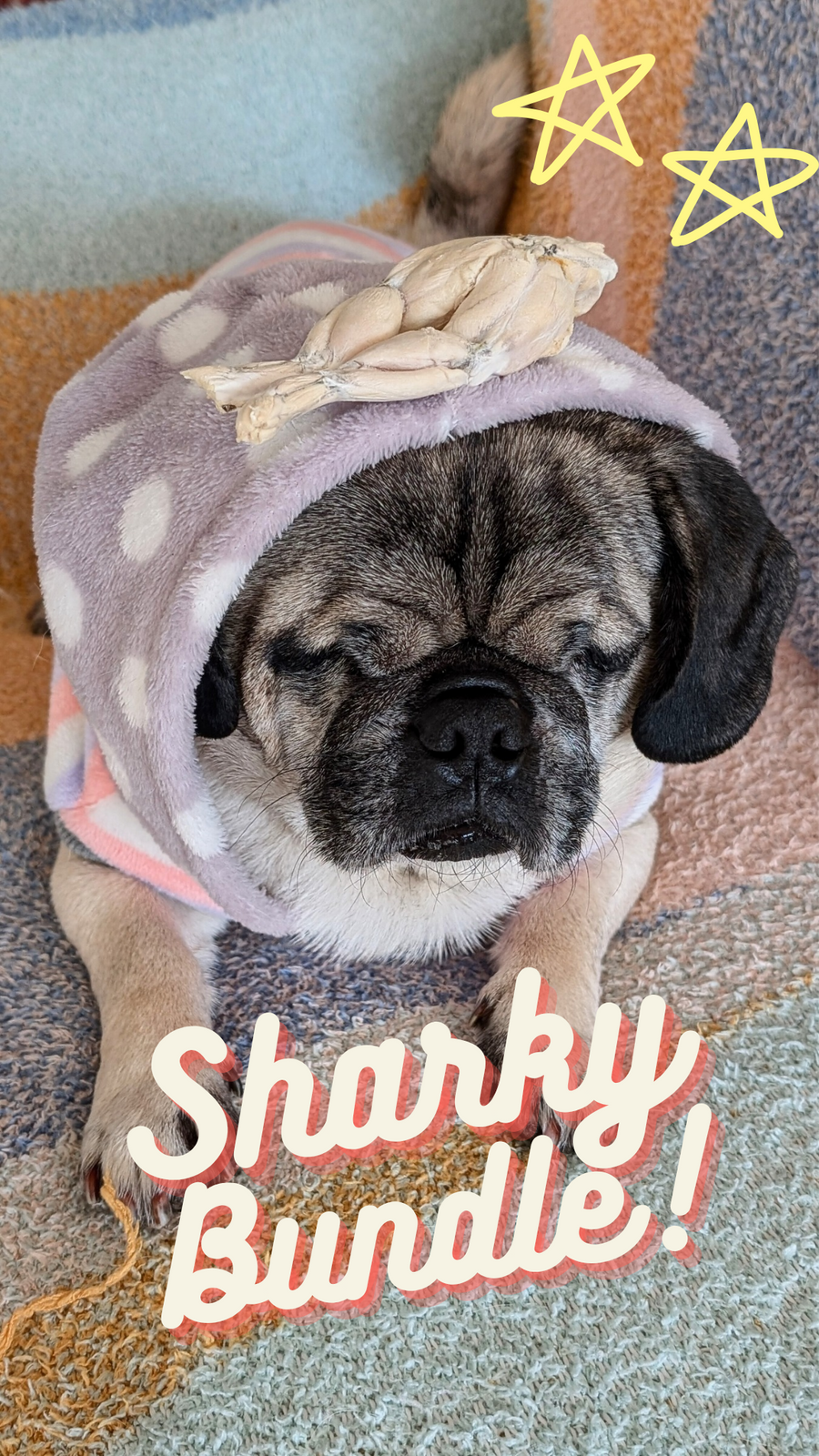 SHARKY'S BUNDLE