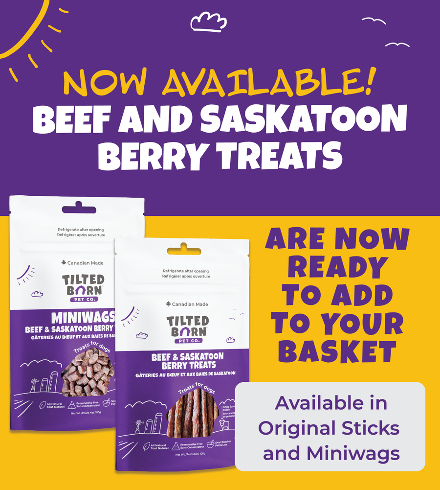 Beef & Saskatoon Miniwags Treats For Dogs 100g