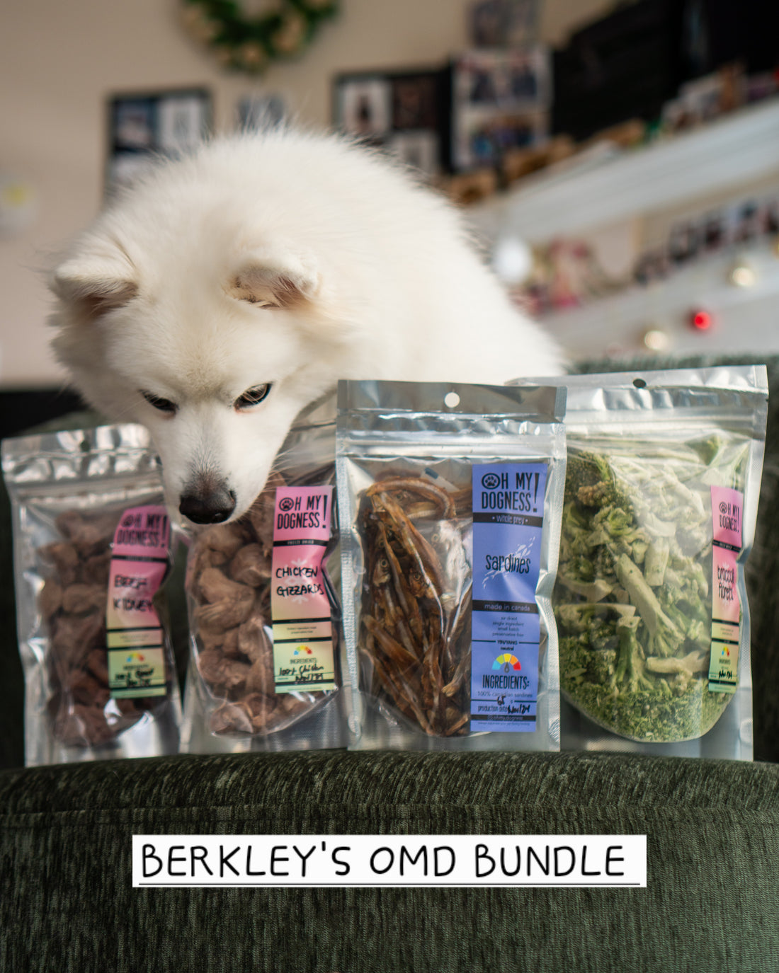 BERKLEY'S BUNDLE