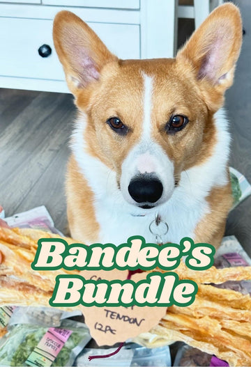 BANDEE'S BUNDLE