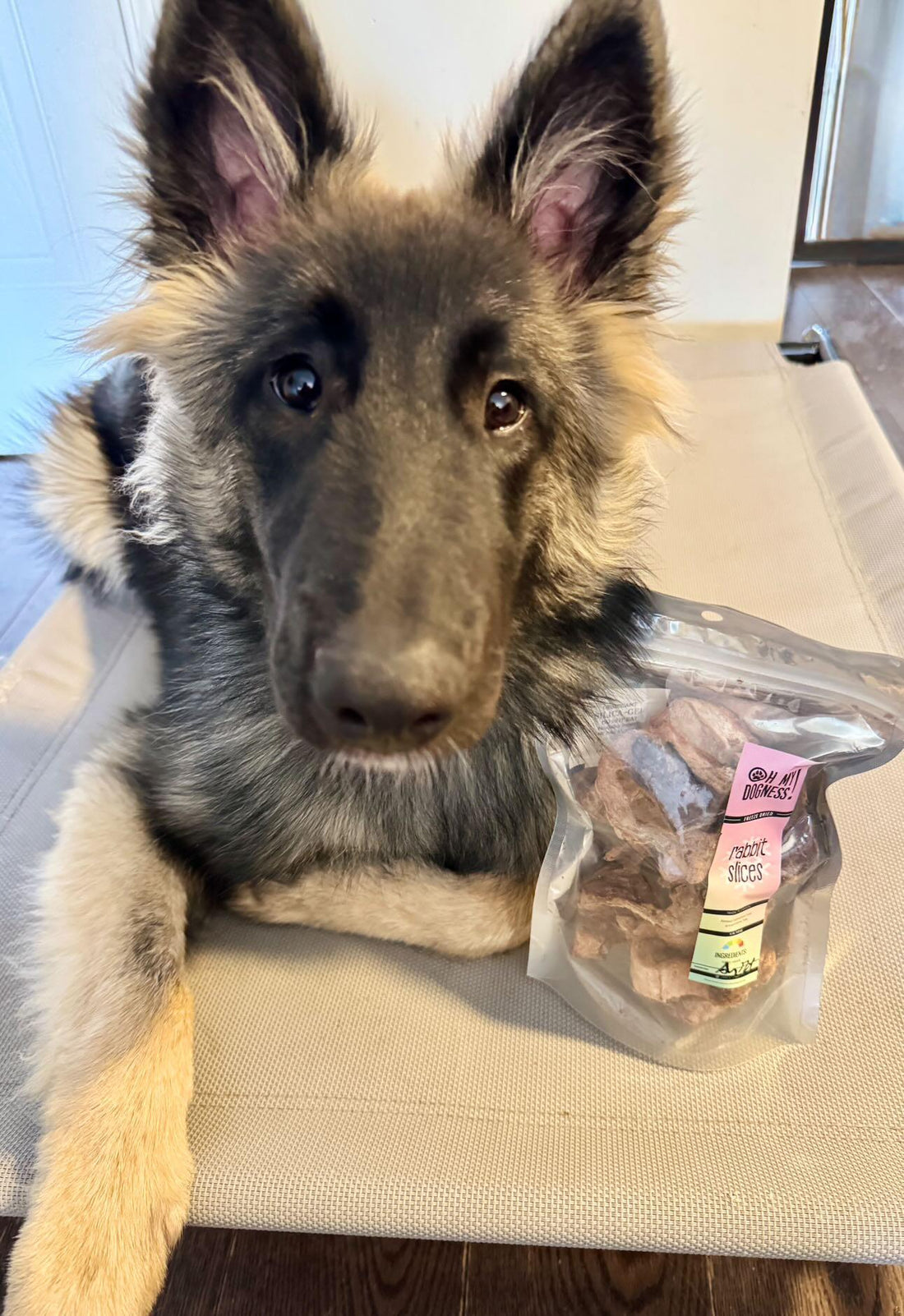 Freeze Dried Rabbit Slices