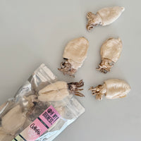 (NEW) Freeze Dried Whole Cuttlefish