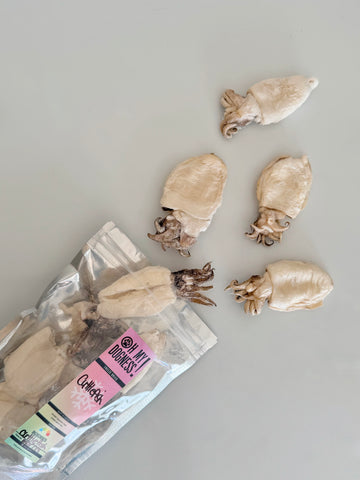 (NEW) Freeze Dried Whole Cuttlefish